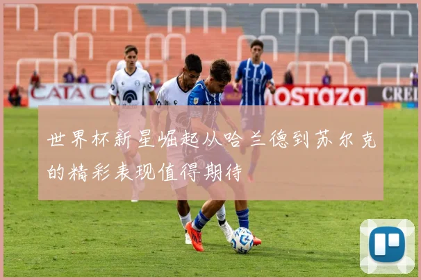世界杯新星崛起从哈兰德到苏尔克的精彩表现值得期待