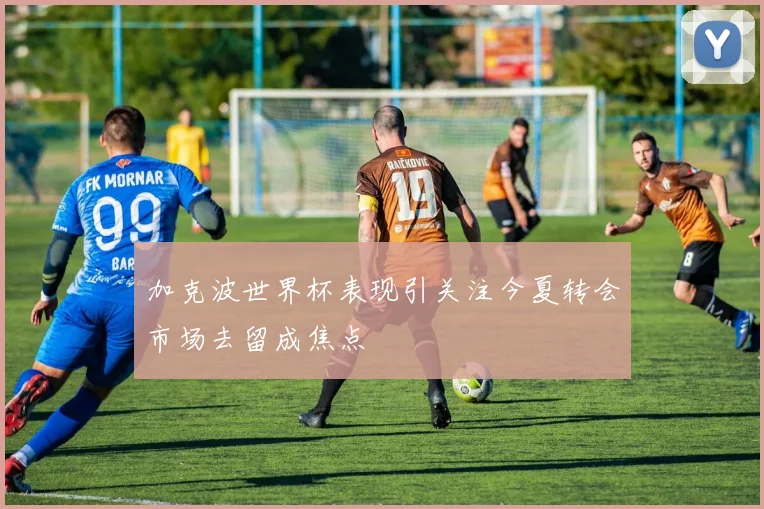 加克波世界杯表现引关注今夏转会市场去留成焦点