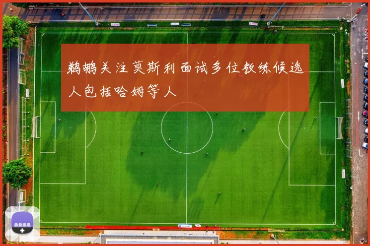 鹈鹕关注莫斯利面试多位教练候选人包括哈姆等人
