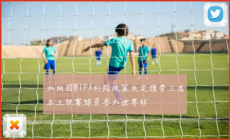 加纳因FIFA补贴政策决定携带三名本土联赛球员参加世界杯